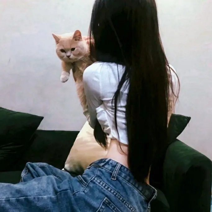 动物出击